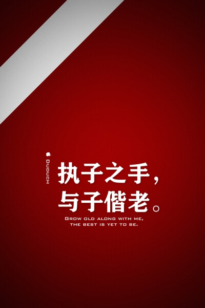 Grow old along with me, the best is yet to be. ------ 执子之手，与子偕老。