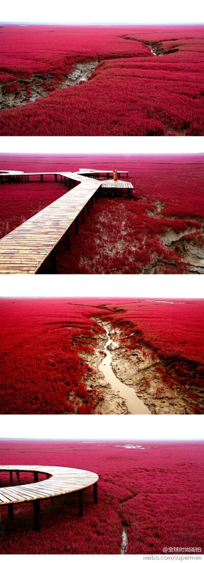 盘锦红海滩,红海滩风景区位于渤海湾东北部，地处辽河三角洲湿地内，辽河三角洲的盘锦市，是一处著名的国家级自然保护区。红海滩的红是它的独特亮点，简直就是红色的海洋，如果是在十月份，颜色更加鲜艳夸张。一片红…