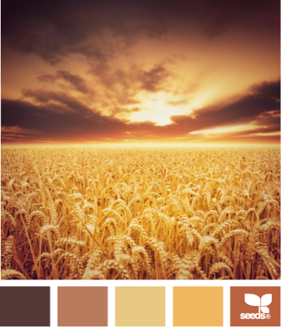 harvested hues