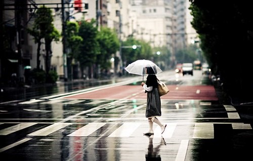 雨中即景