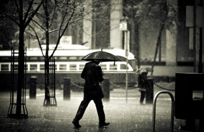 雨中即景