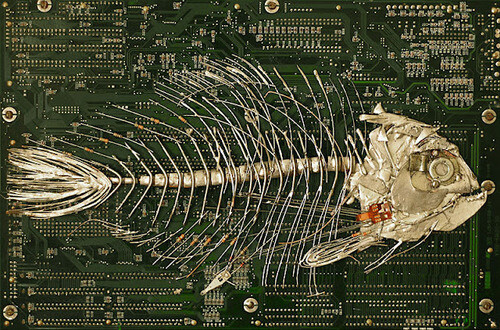 Peter McFarlane: Circuit Board Fossils 电路板化石