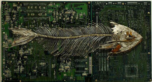 Peter McFarlane: Circuit Board Fossils  电路板化石