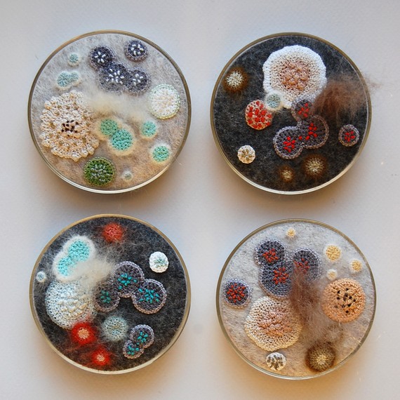 RESERVED - Moldy petri dish x Four