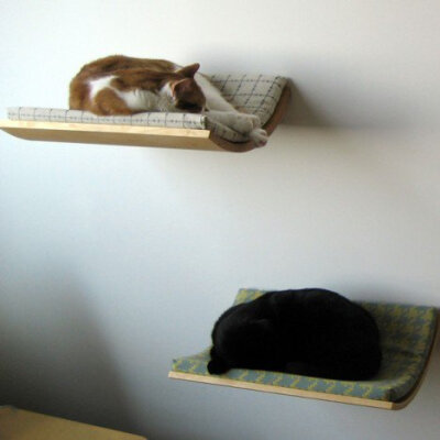 Curve Pet Bed by Akemi Tanaka