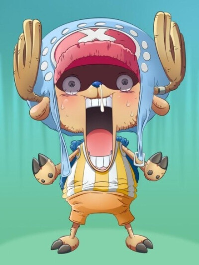 ONE PIECE| 你这萌货 !CHOPPER !