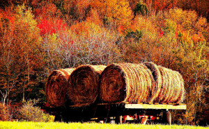 Bloomville, NY #2 by Zilberman Sands Photography on Flickr.