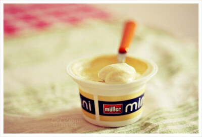 好吃的好吃的全是好吃的