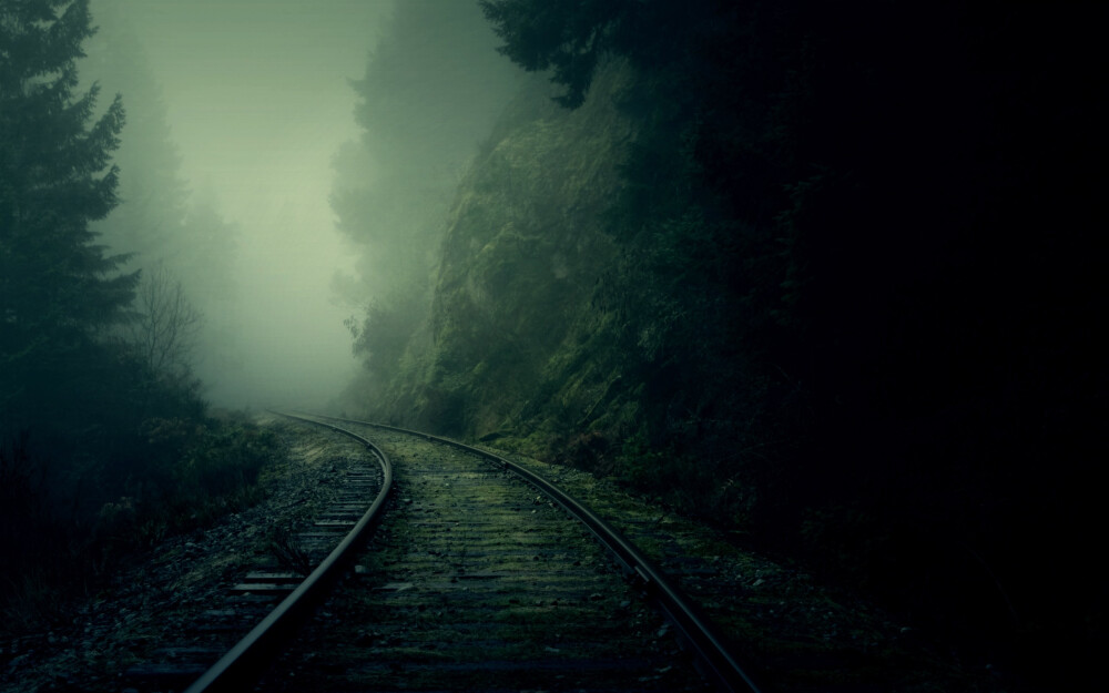 nature dark forest fog railroad tracks pine trees / 2560x1600 Wallpaper