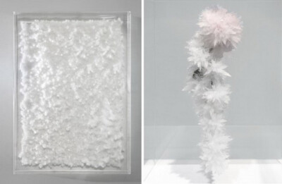 Tokujin Yoshioka