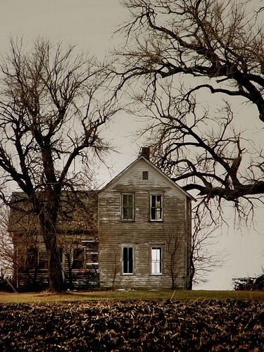 Abandoned farmhouse