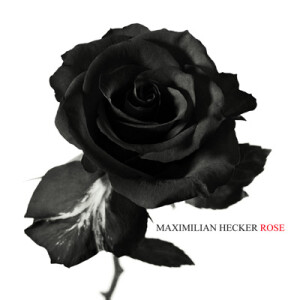 Maximilian Hecker Rose