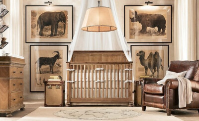 Looking for an animal theme? Consider a traditional safari style; detailed posters are not only more educational but won&#39;t date as quickly as a cutesy cartoon mural as your child grows and matures…