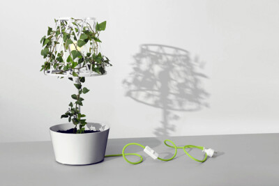 foruler很喜欢的一款花盆台灯，台灯会随着时间，随着植物的生长，变得越来越漂亮和密实，非常有趣的一个想法