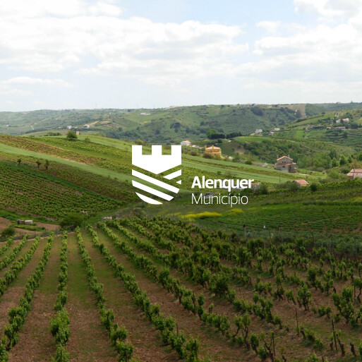 Alenquer Branding, Graphic Design