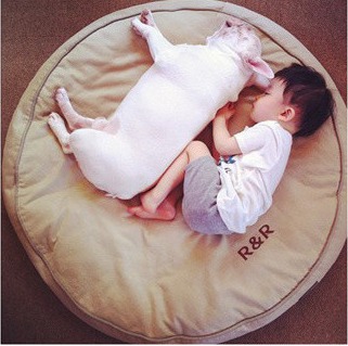 生一个宝宝，养一只可爱的狗狗