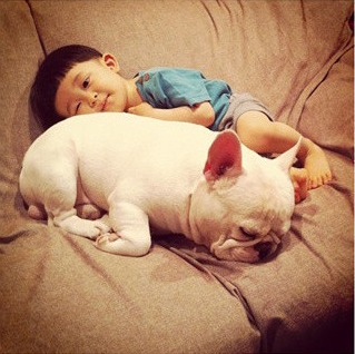 生一个宝宝，养一只可爱的狗狗