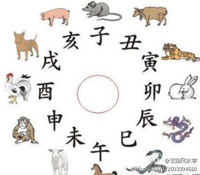 玄学冷知识】易经说的「四象」，对应生肖分别是：鼠、猪、兔属大柔；马、羊、狗属小柔；牛、鸡、猴属小刚；虎、龙、蛇属大刚。大刚配大柔，小柔配小刚，立即查查自己的生肖，看看你跟伴侣配不配