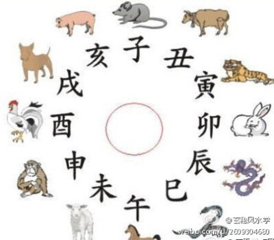 玄学冷知识】易经说的「四象」，对应生肖分别是：鼠、猪、兔属大柔；马、羊、狗属小柔；牛、鸡、猴属小刚；虎、龙、蛇属大刚。大刚配大柔，小柔配小刚，立即查查自己的生肖，看看你跟伴侣配不配