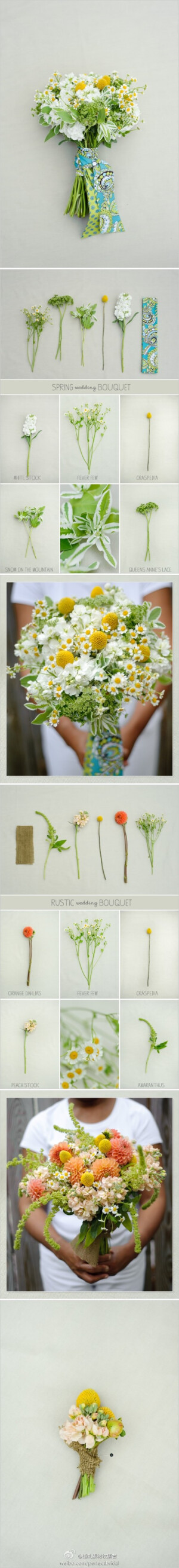蓬松、可爱的手捧花和组成的花材分解