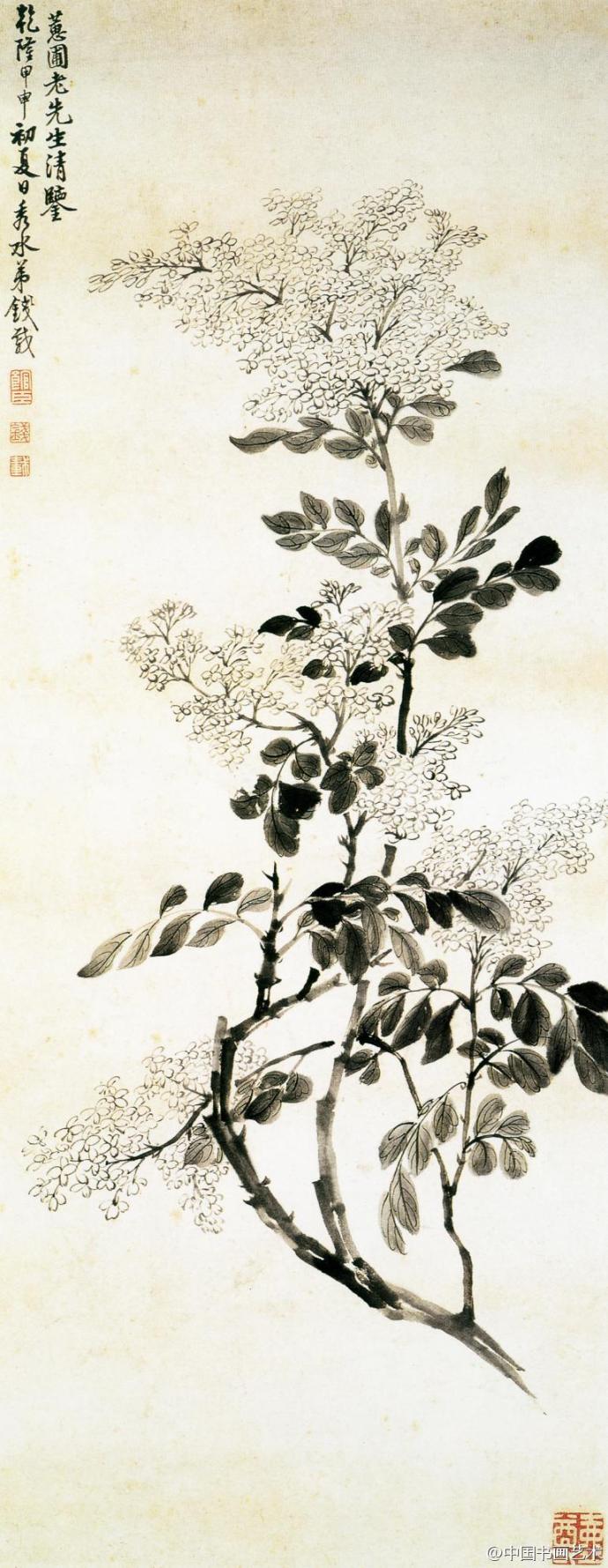 清 钱载《丁香图》--- 此画撷取白丁香花枝，以水墨勾染描绘其花开似堆雪的景象。以淡墨写枝，晕染成叶。花序以简笔写意勾画，即纵逸洒脱又神清韵足。叶之仰俯向背，皆用笔不同，练达传神。画面清新素雅，秀丽天然。上海博物馆藏。