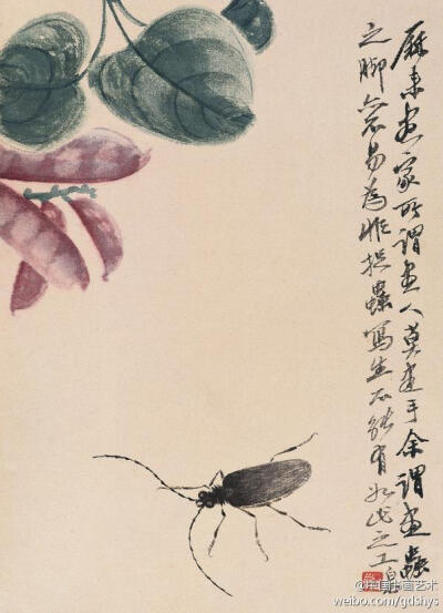 齐白石 作品 《豆荚天牛》