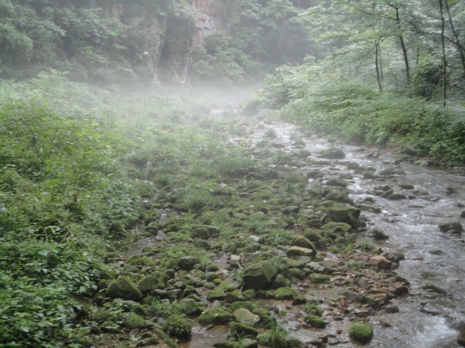 烟雨张家界？