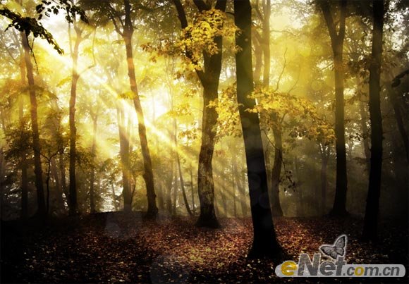 使用PS的HDR色调来调出一个梦幻的森林场景