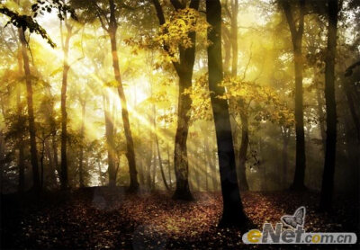 使用PS的HDR色调来调出一个梦幻的森林场景