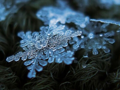 微距下的雪花