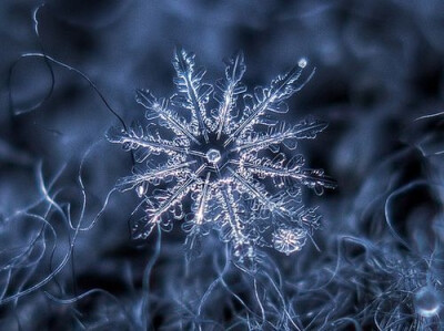 微距下的雪花