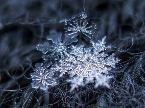 微距下的雪花