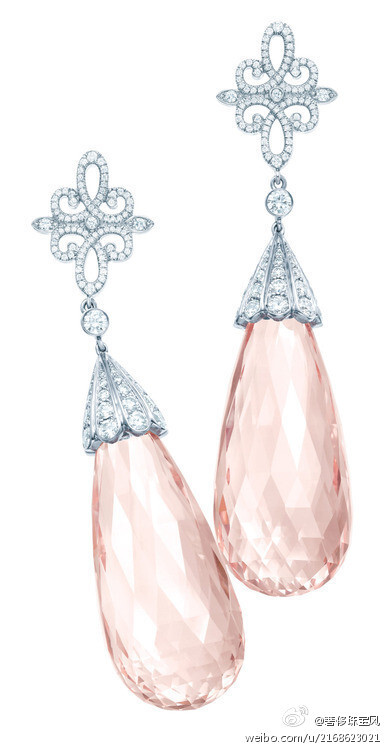 Tiffany&Co Anniversary Earrings with Morganite and Diamonds.54克拉蒂芙尼铂金镶钻水滴形摩根石耳环