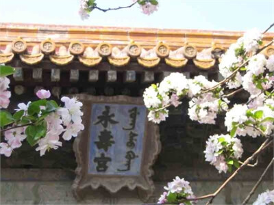 永寿宫建于明永乐十八年，为明代妃嫔，清代后妃居住之所。永寿宫的名称在明代有过几次改易，最初叫做长乐宫，明代中期改称永寿宫。永寿宫中还发生过一个真实的故事。