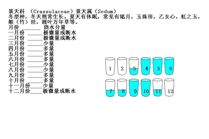 关于解决多肉植物的浇水问题（教材）