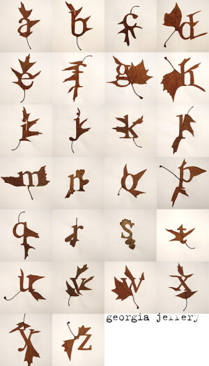 Leaf Alphabet 2008 叶子字母