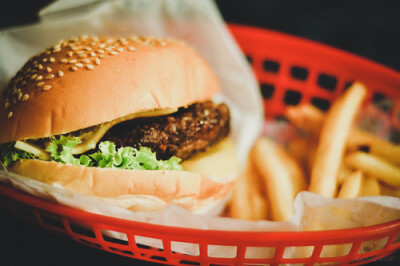 Cheese Burger and Fried Fries