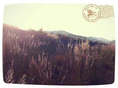 芦花飘荡的季节