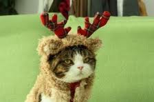 你猜。。我是谁。。