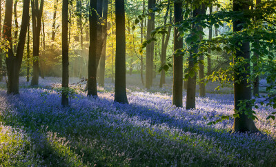 Photograph Spring is here! by Keith Burtonwood on 500px