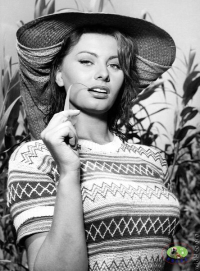 索菲娅·罗兰 Sophia Loren 出生日期: 1934-09-20