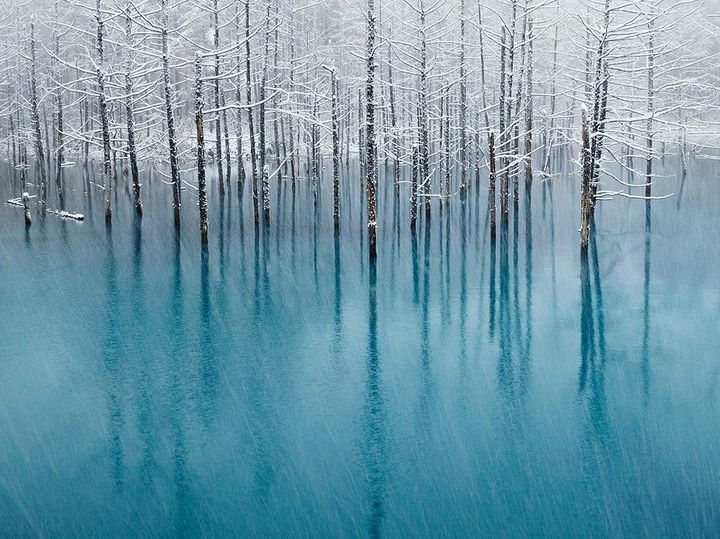 日本北海道的美瑛，Blue Pond是许多游客聚集的地方，但是不幸的是，它的蓝色正在下降。