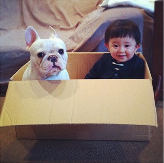  生一个宝宝，养一只可爱的狗狗