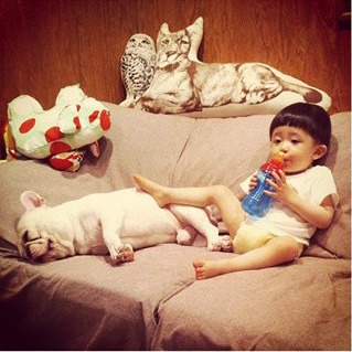 狗狗垫子，舒服啊~