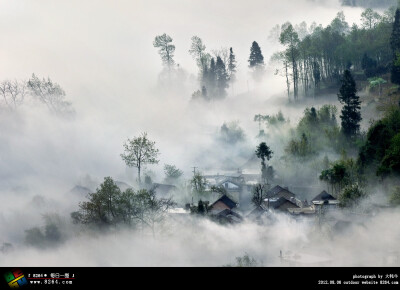 照片说明：山村之晨。云南红河的很多地方冬季经常处于云雾之中，碰到好的天气它会展现出美丽的一面。 作者介绍：大牦牛