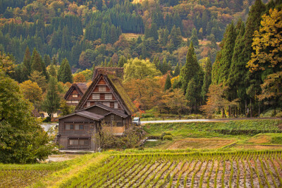 Photograph Shirakawa-go in autumn by MIYAMOTO Y on 500px