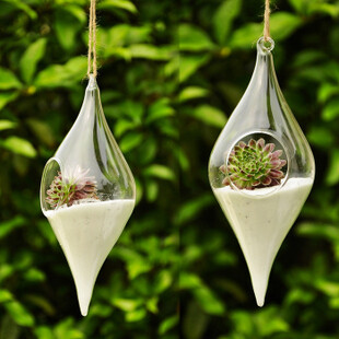 zakka 创意透明玻璃橄榄形花瓶 家居装饰品插花器