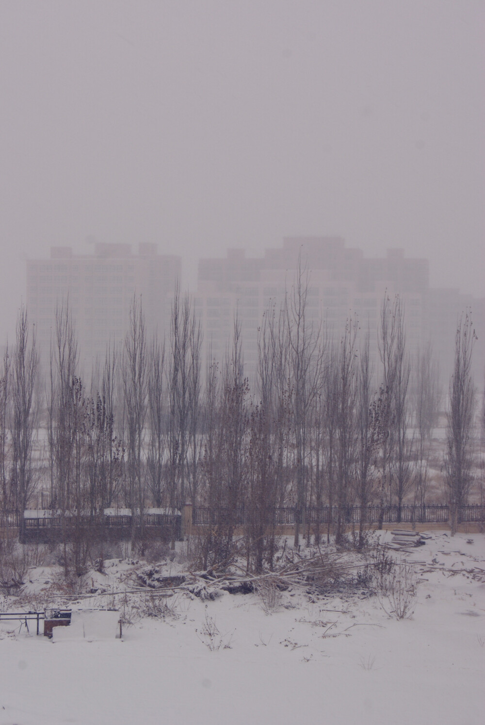 2012年11月2日中国多地普降大雪（内蒙古鄂尔多斯雪景）