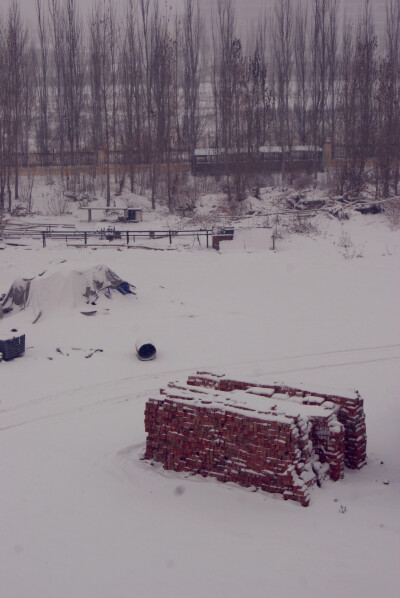 2012年11月2日中国多地普降大雪（内蒙古鄂尔多斯雪景）