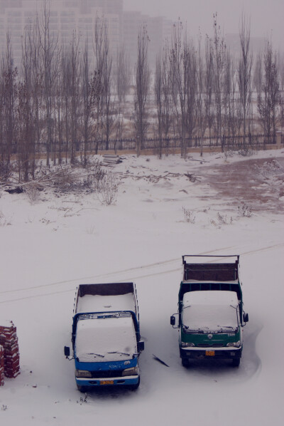 2012年11月2日中国多地普降大雪（内蒙古鄂尔多斯雪景）